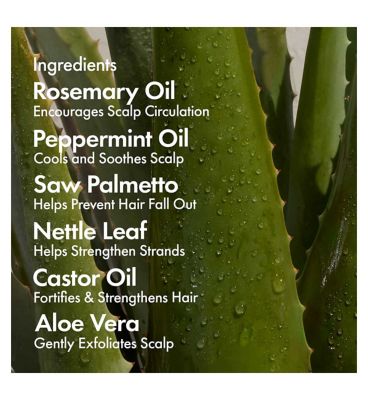 BondiBoost Elixir Hair Oil 125ml