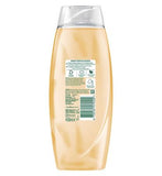 Radox Shower Gel Feel Restored 450ml