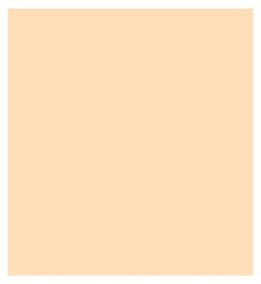 GUERLAIN Terracotta Concealer Natural Perfection Concealer