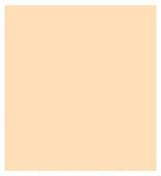 GUERLAIN Terracotta Concealer Natural Perfection Concealer