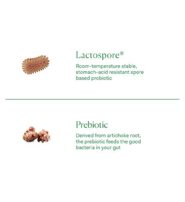 The Nue Co. Pre+Probiotic - Everyday Gut Maintenance - 60s