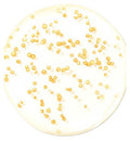 GUERLAIN Abeille Royale Youth Watery Oil Serum 15ml