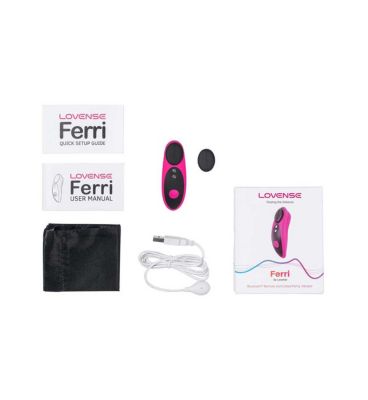 Lovense Ferri Panty Vibrator