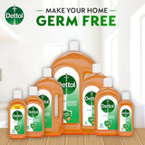 Dettol Antiseptic Liquid Disinfectant - 1litrs