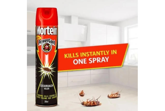 Mortein Instant Power C&A Killer