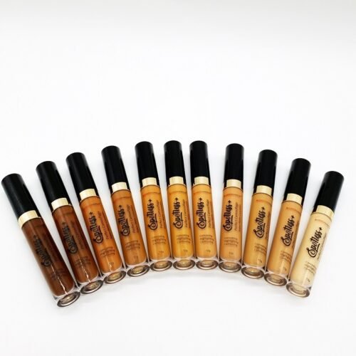 Blossom Spotless+ Concealer