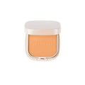 Mattifying Powder- ZZ20